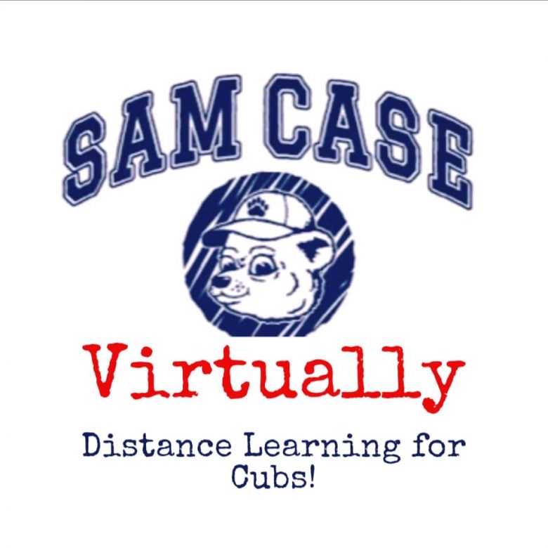 Virtually Distance Learning for Cubs!